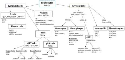Delineation of chicken immune markers in the era of omics and multicolor flow cytometry